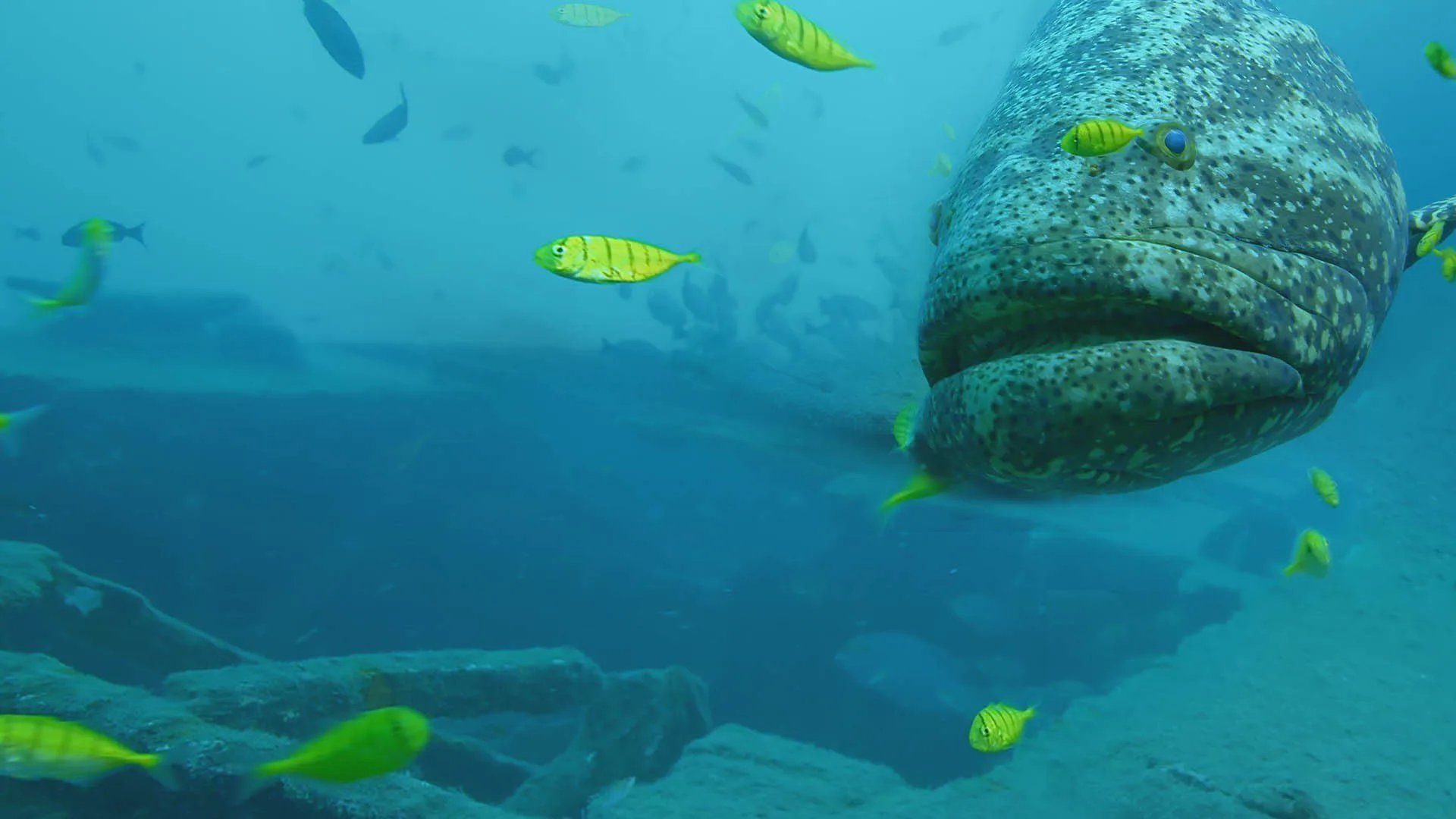 La costa selvaggia della Colombia