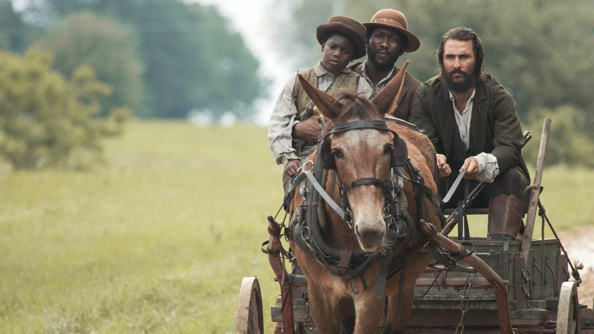 Free State of Jones