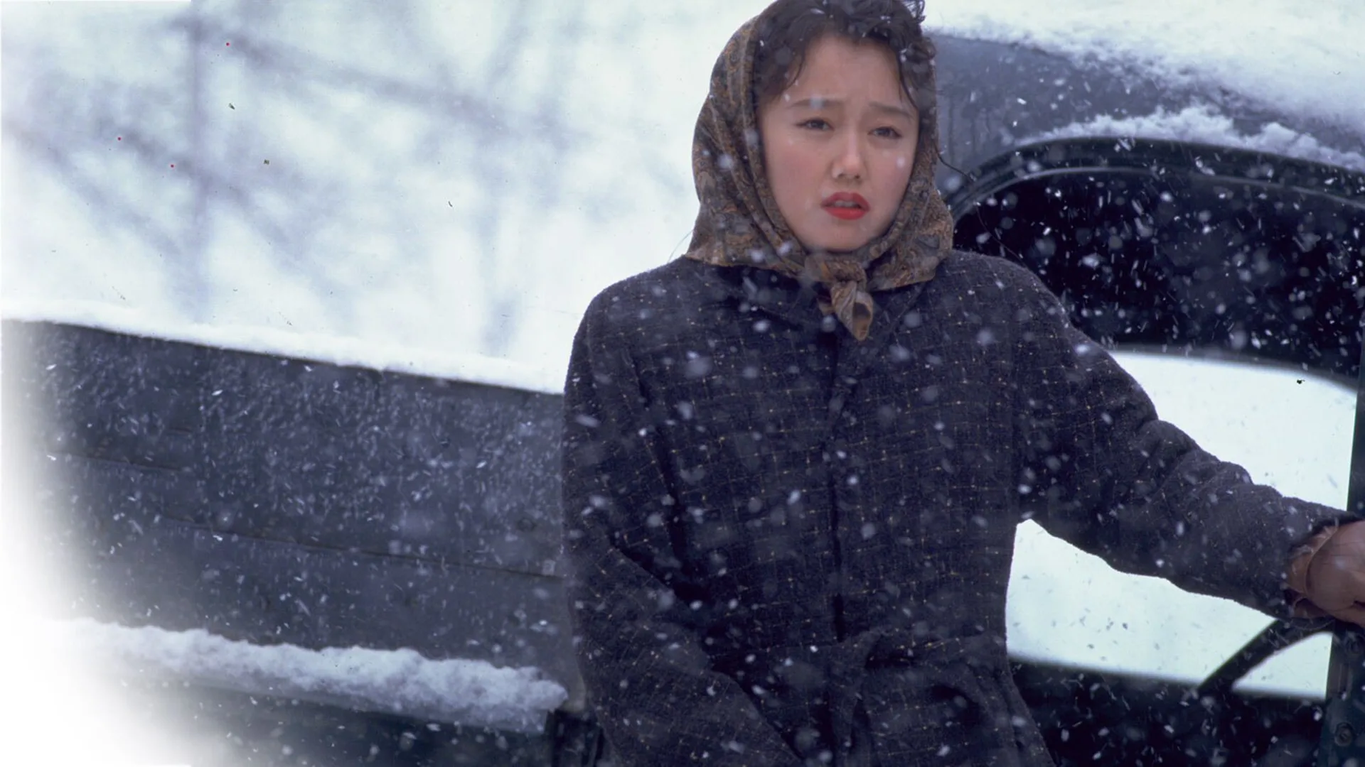 La neve cade sui cedri trama,