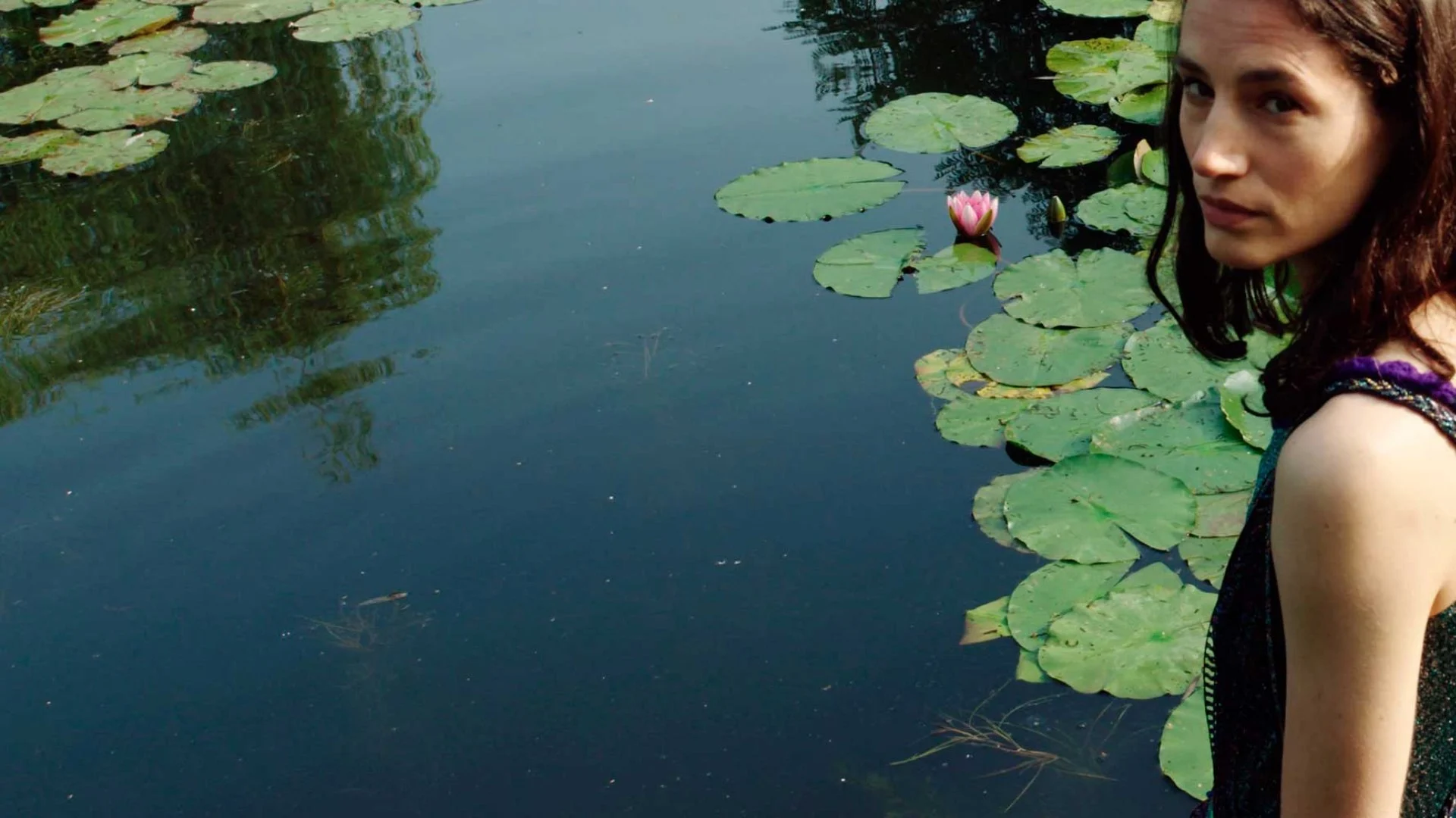 Le ninfee di Monet - Un incantesimo di acqua e luce