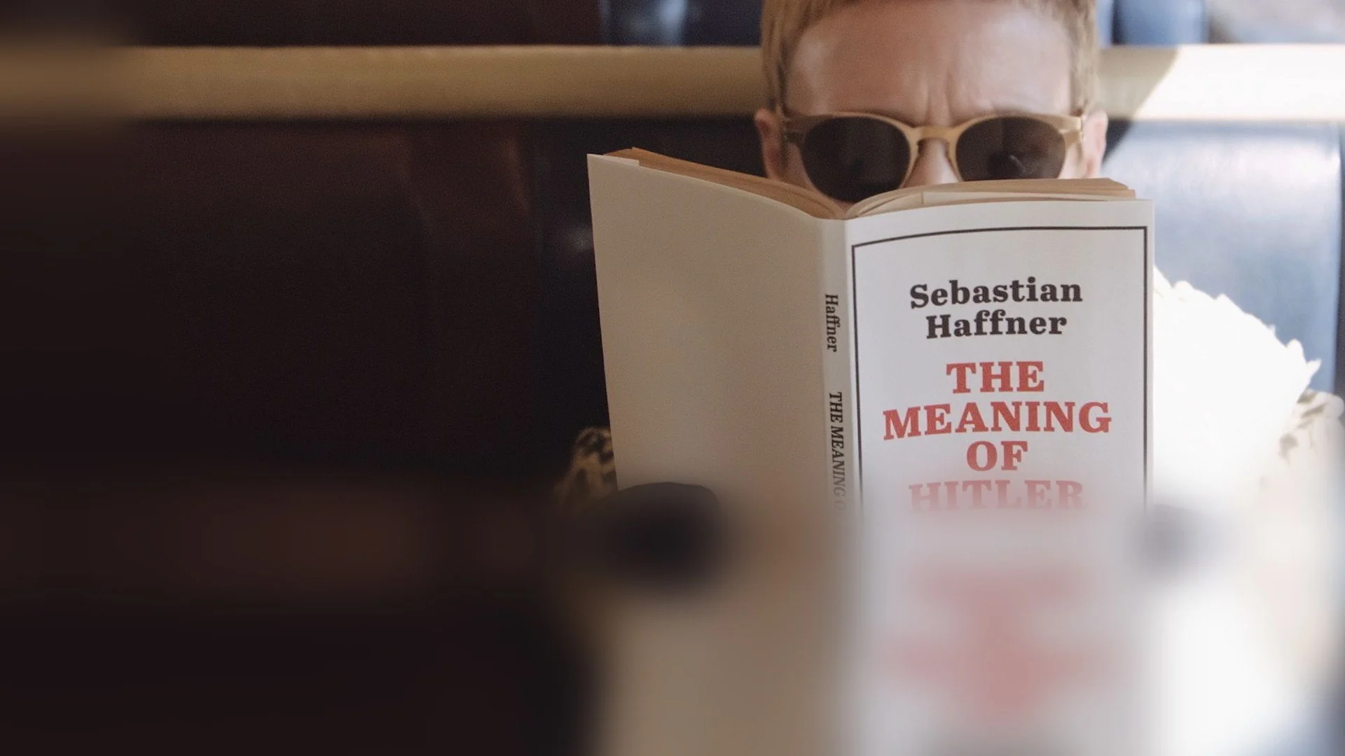The Meaning of Hitler