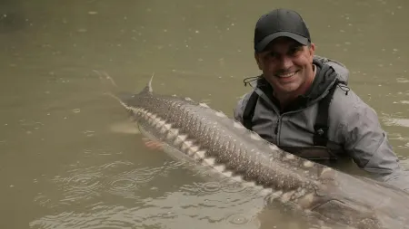 Chasing Monsters: A caccia di mostri