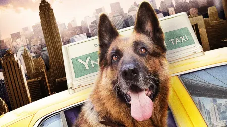Cool Dog - Rin Tin Tin a New York