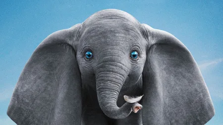 Dumbo