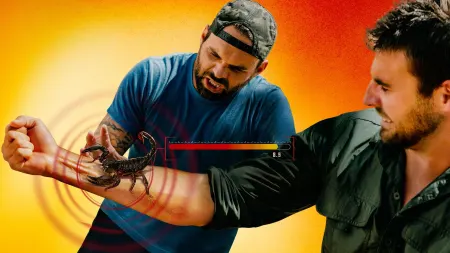 Kings of Pain: la natura morde