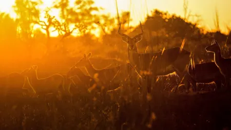L'incanto delle stagioni