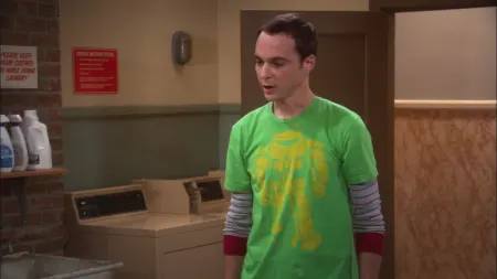 The Big Bang Theory stagione 2