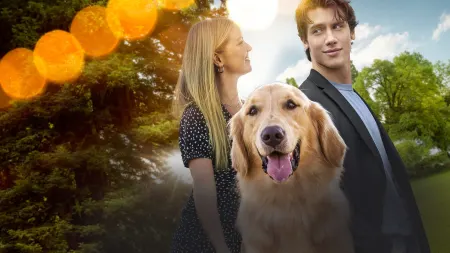 Un amore a quattro zampe