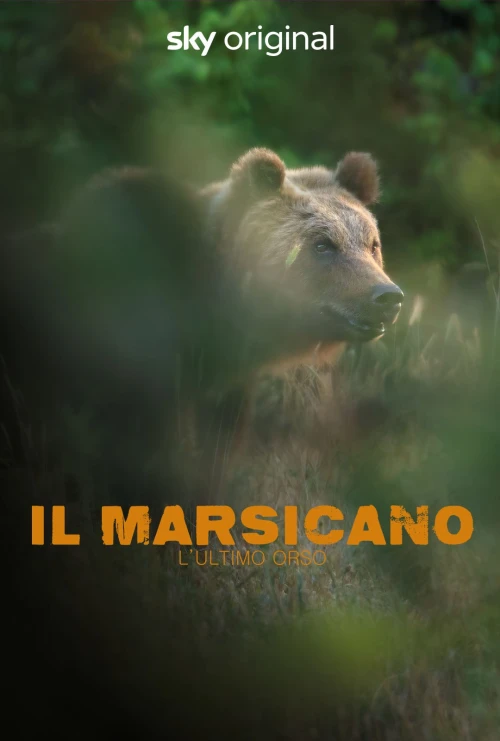 Il Marsicano - L'ultimo orso