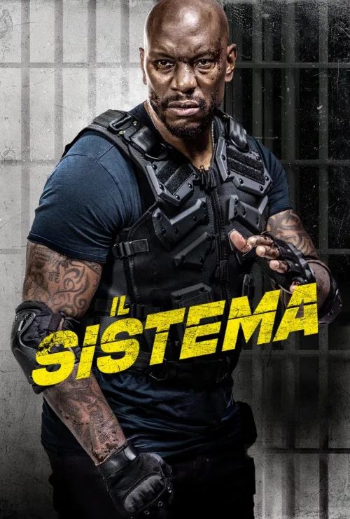 Il sistema
