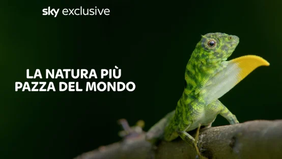 La natura più pazza del mondo