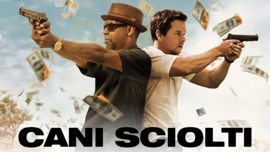 Cani sciolti