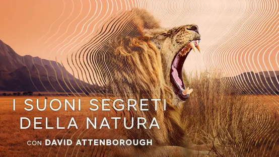 I suoni segreti della natura con David Attenborough