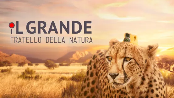 Il grande fratello della natura