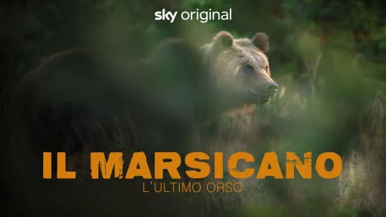 Il Marsicano - L'ultimo orso