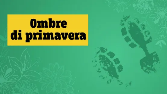 Il segreto di mia madre