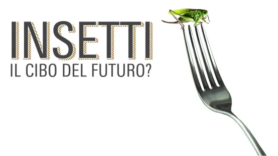 Insetti - Il cibo del futuro?