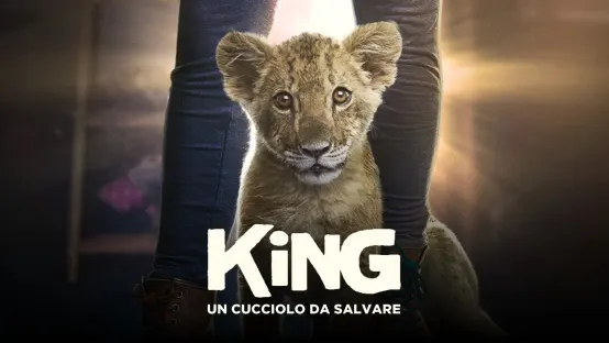 King - Un cucciolo da salvare