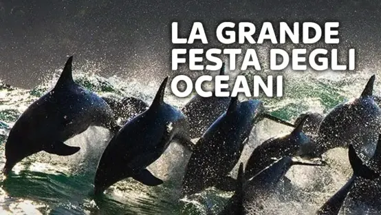 La grande festa degli oceani