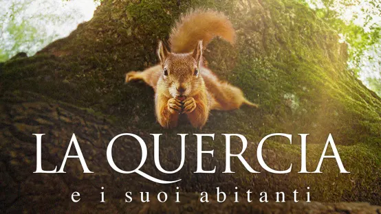 La quercia e i suoi abitanti