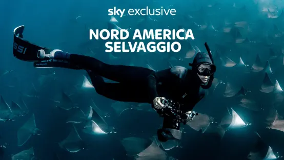Nord America selvaggio