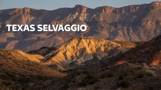 Texas Selvaggio