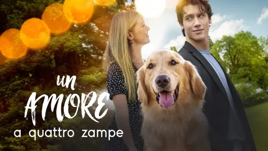 Un amore a quattro zampe