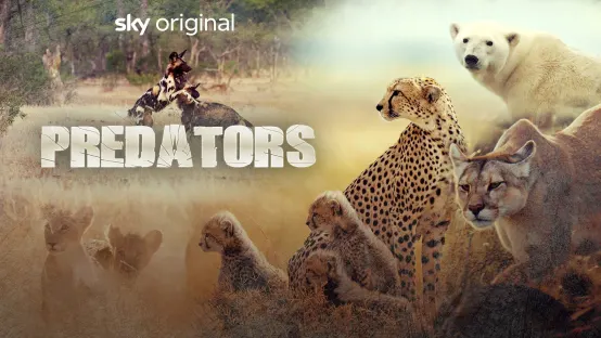 Predators