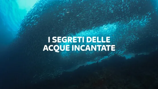 I segreti delle acque incantate