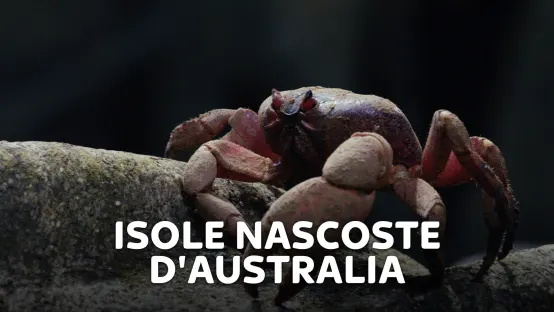 Isole nascoste d'Australia
