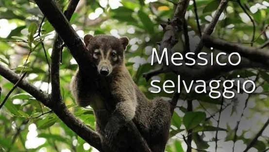 Messico selvaggio