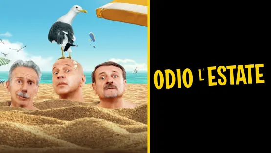 Odio l'estate