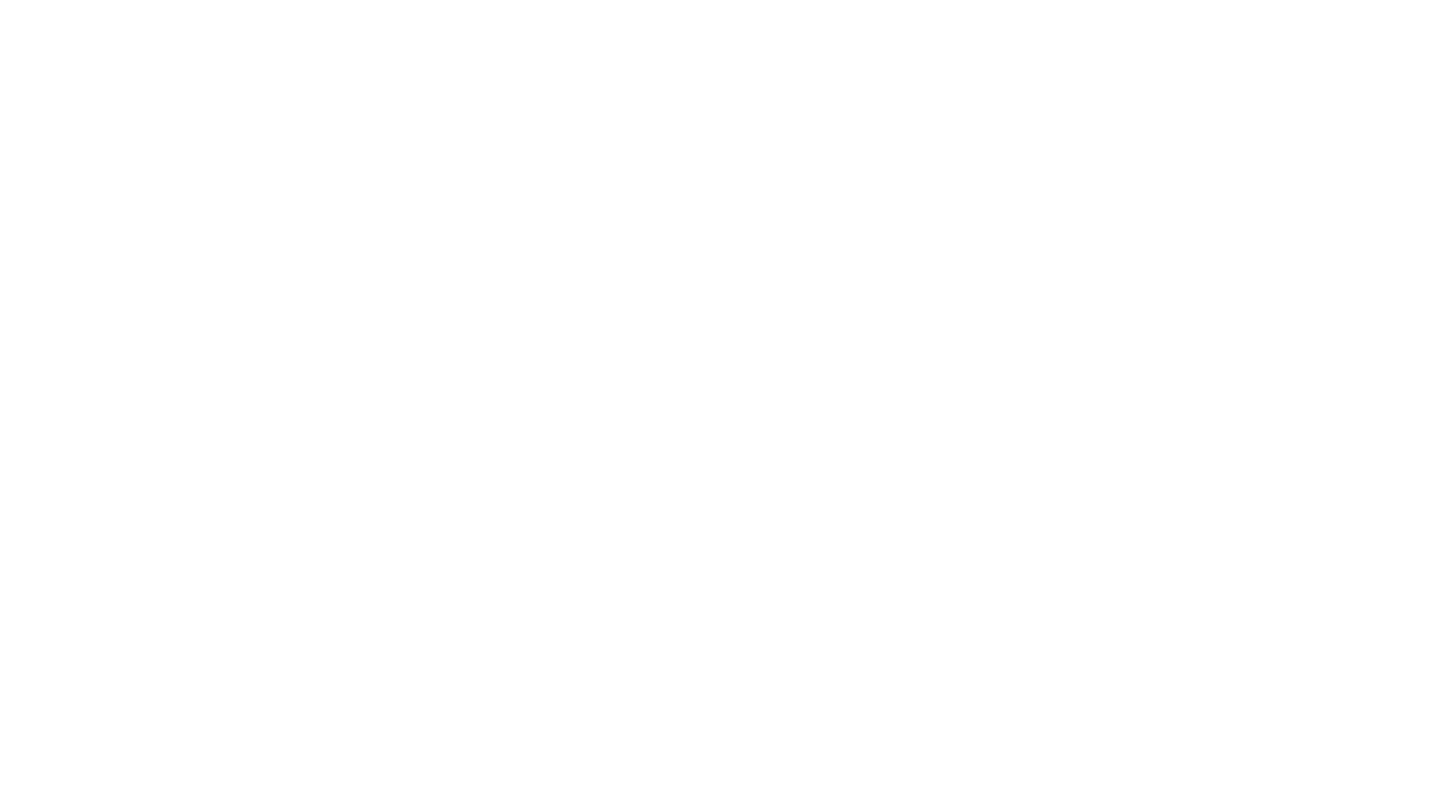 King - Un cucciolo da salvare