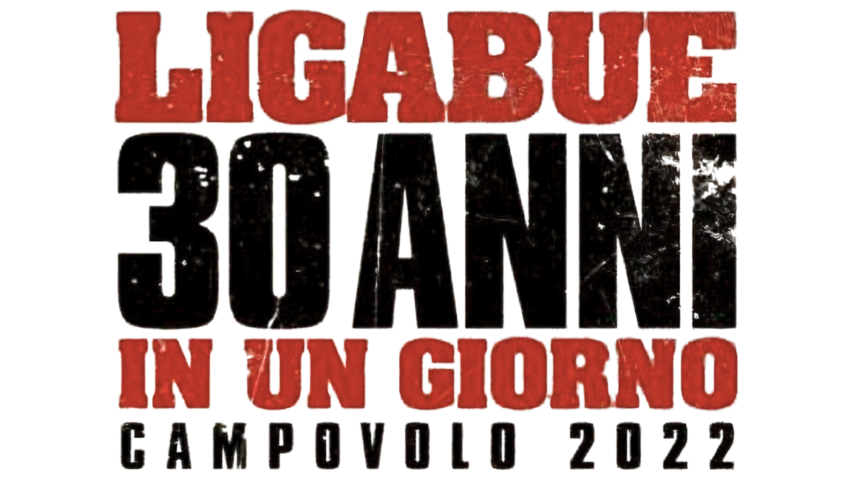 Ligabue - 30 anni in un giorno