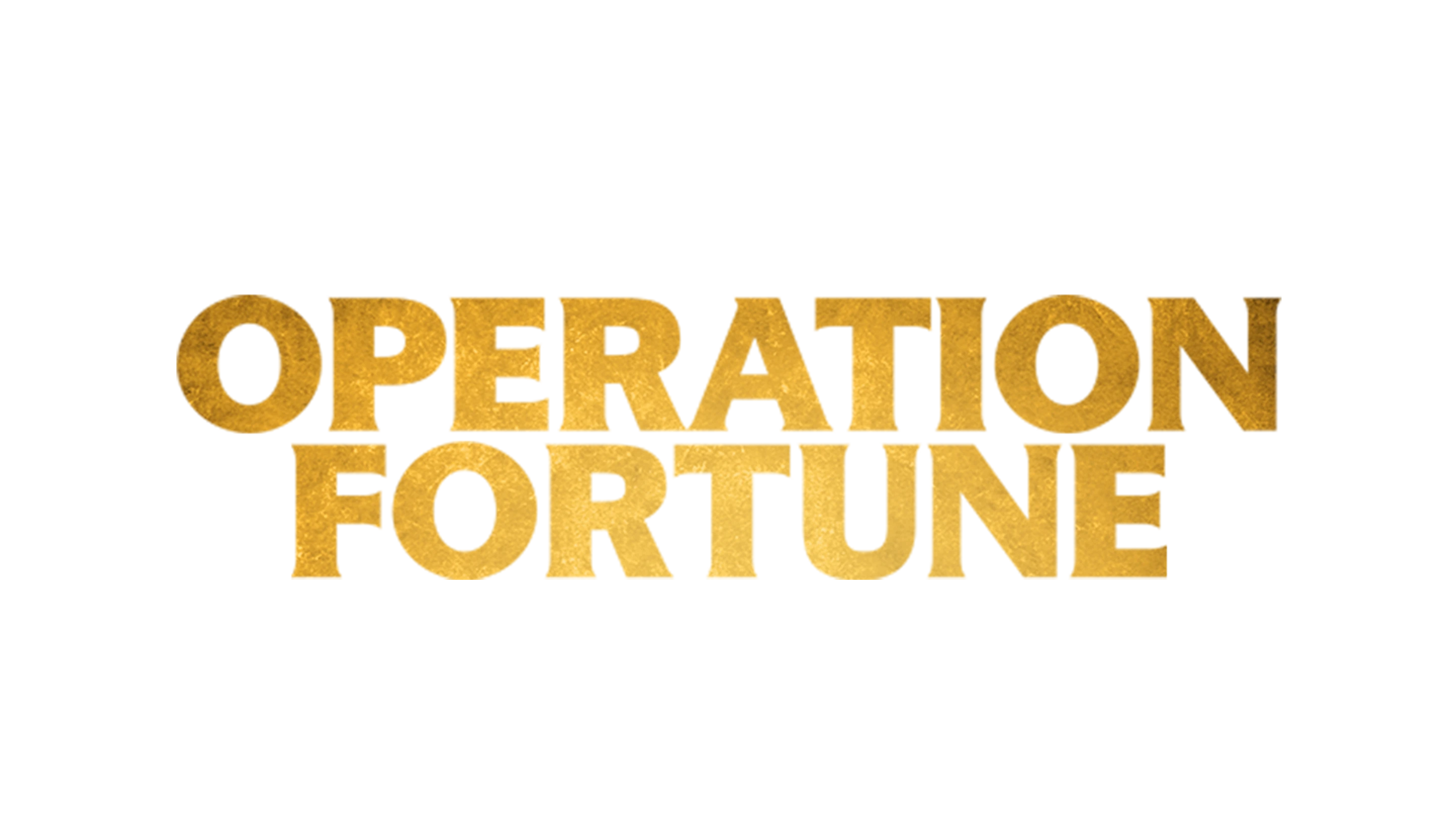 Operation Fortune