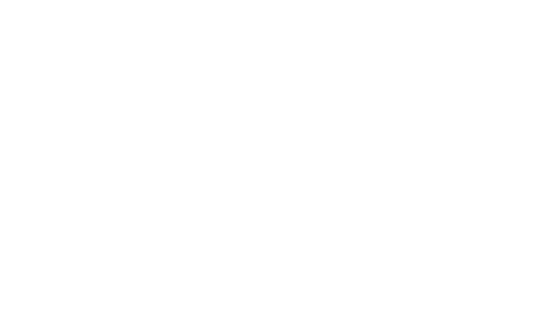 The Judge