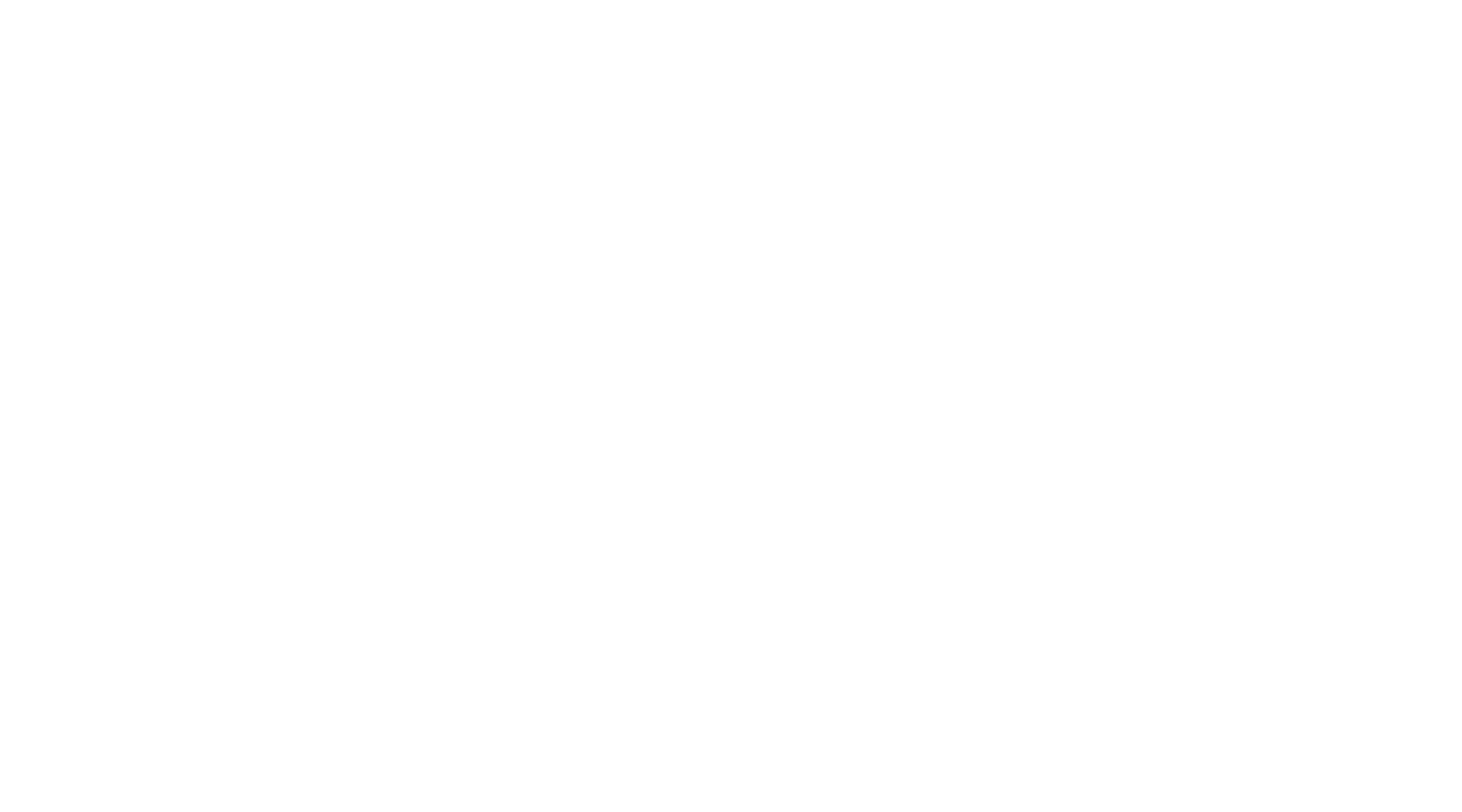 The Painter