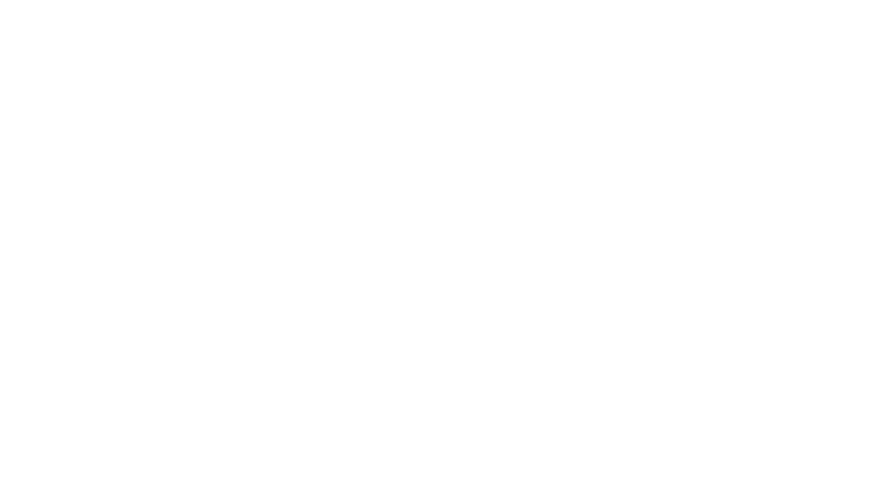 Holiday