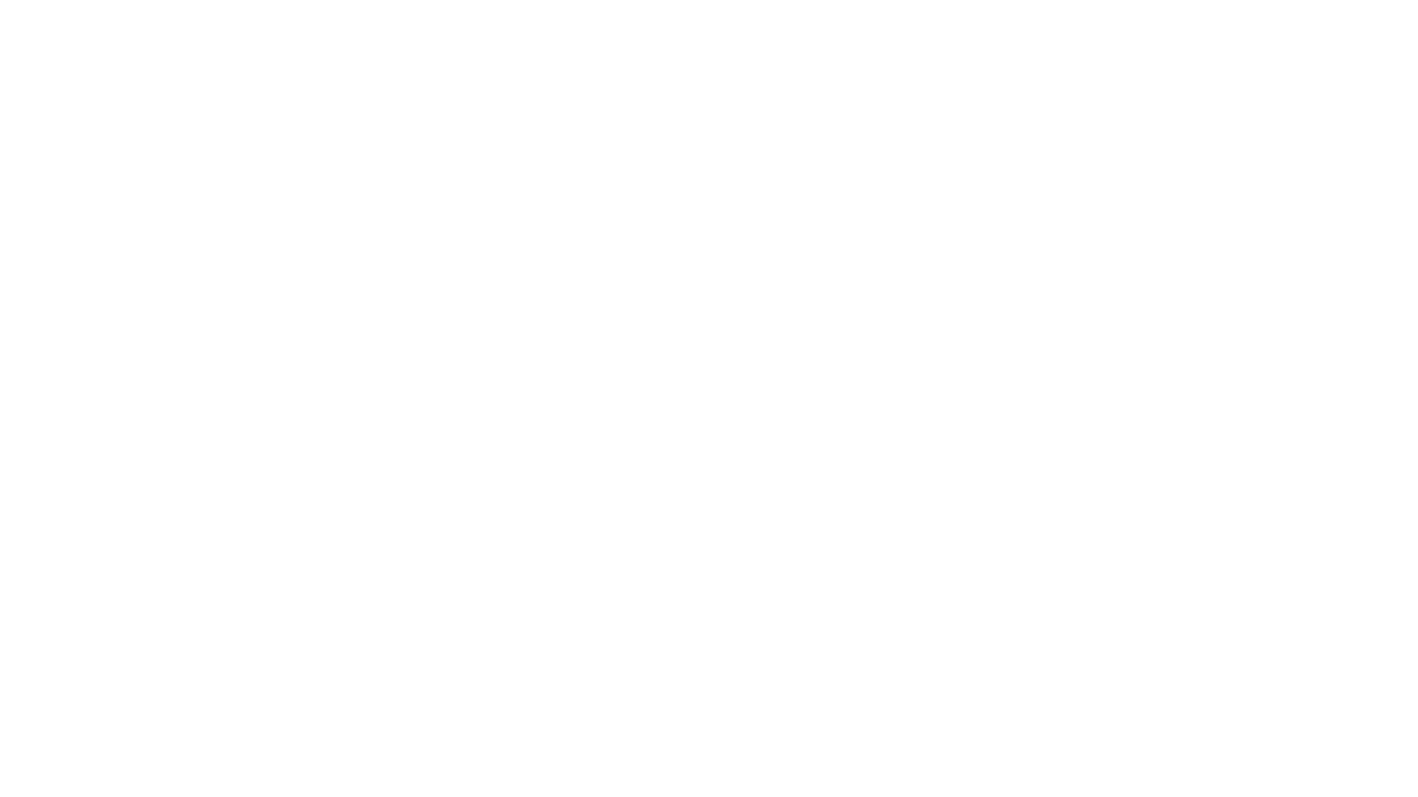 La caduta di Osama Bin Laden