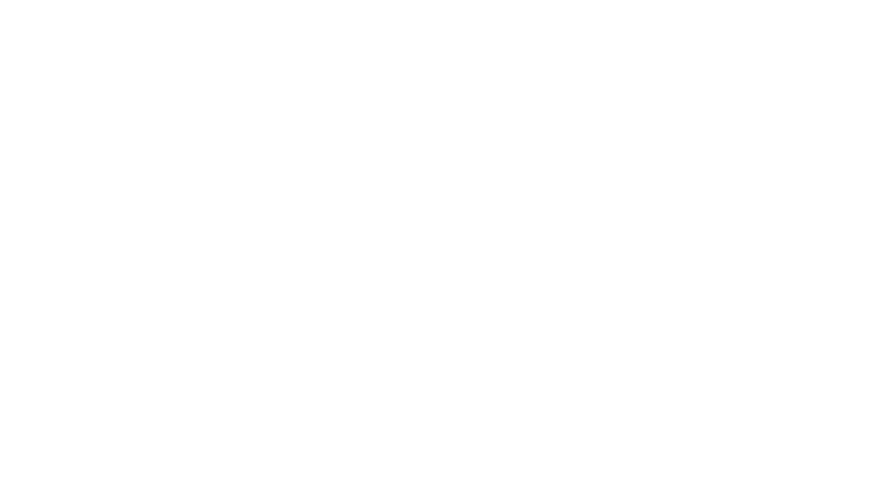 La tela dell'assassino