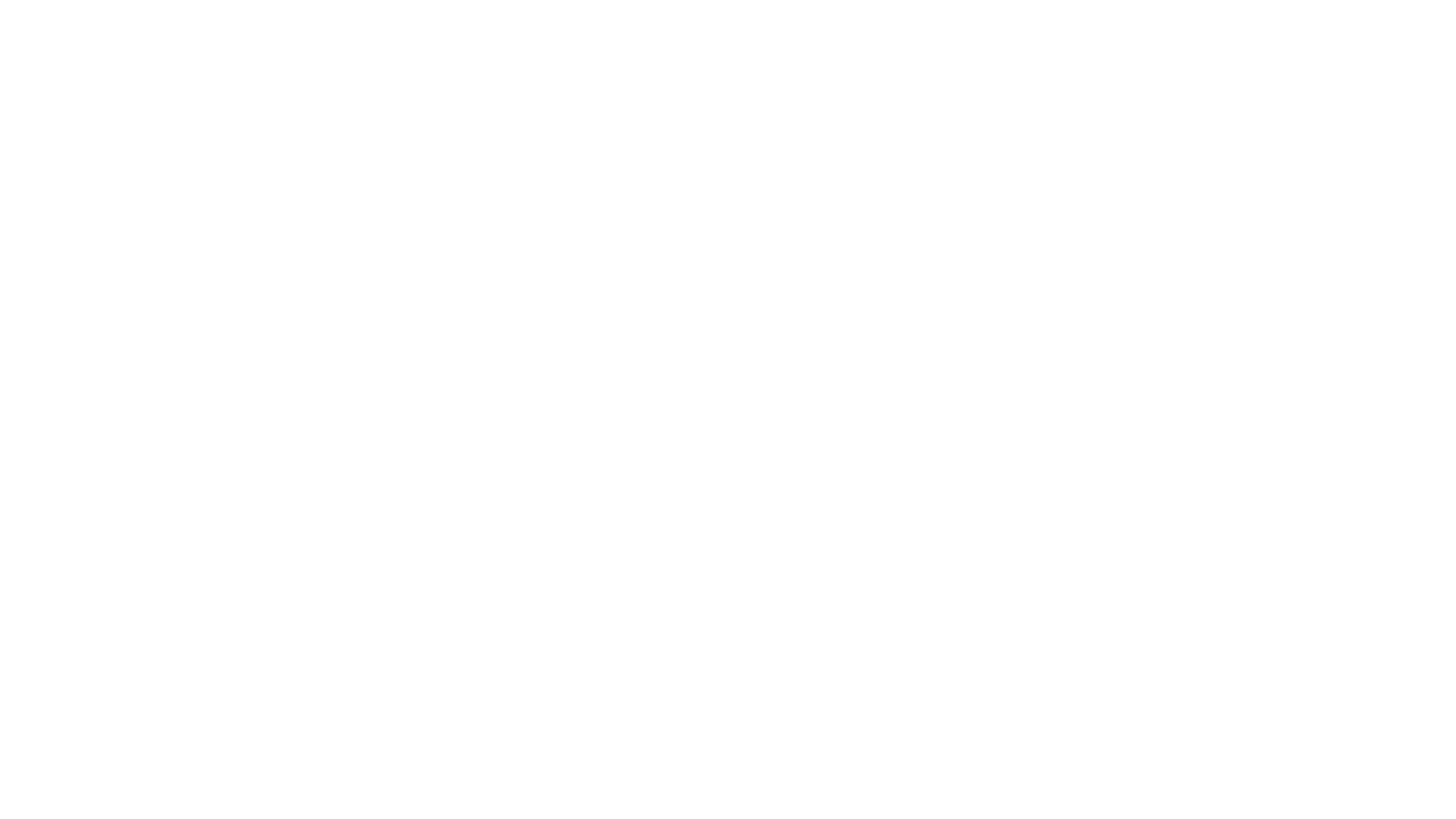 Sugar Man