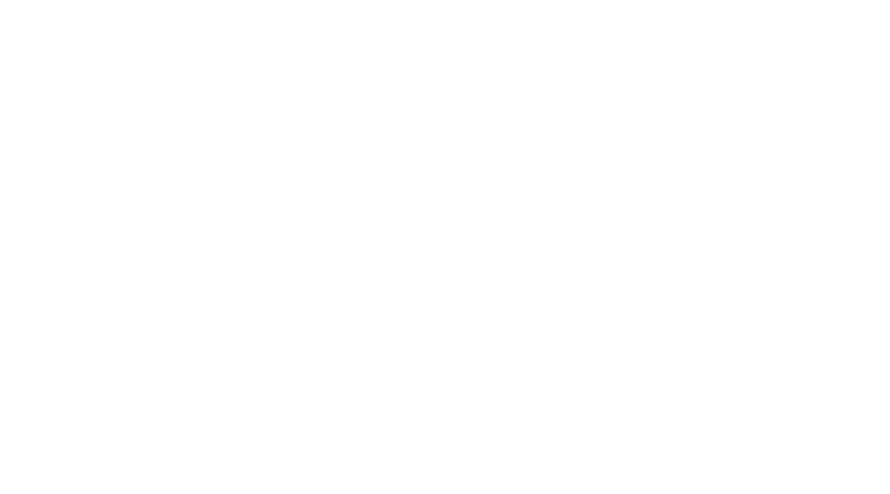 The Bourne Identity