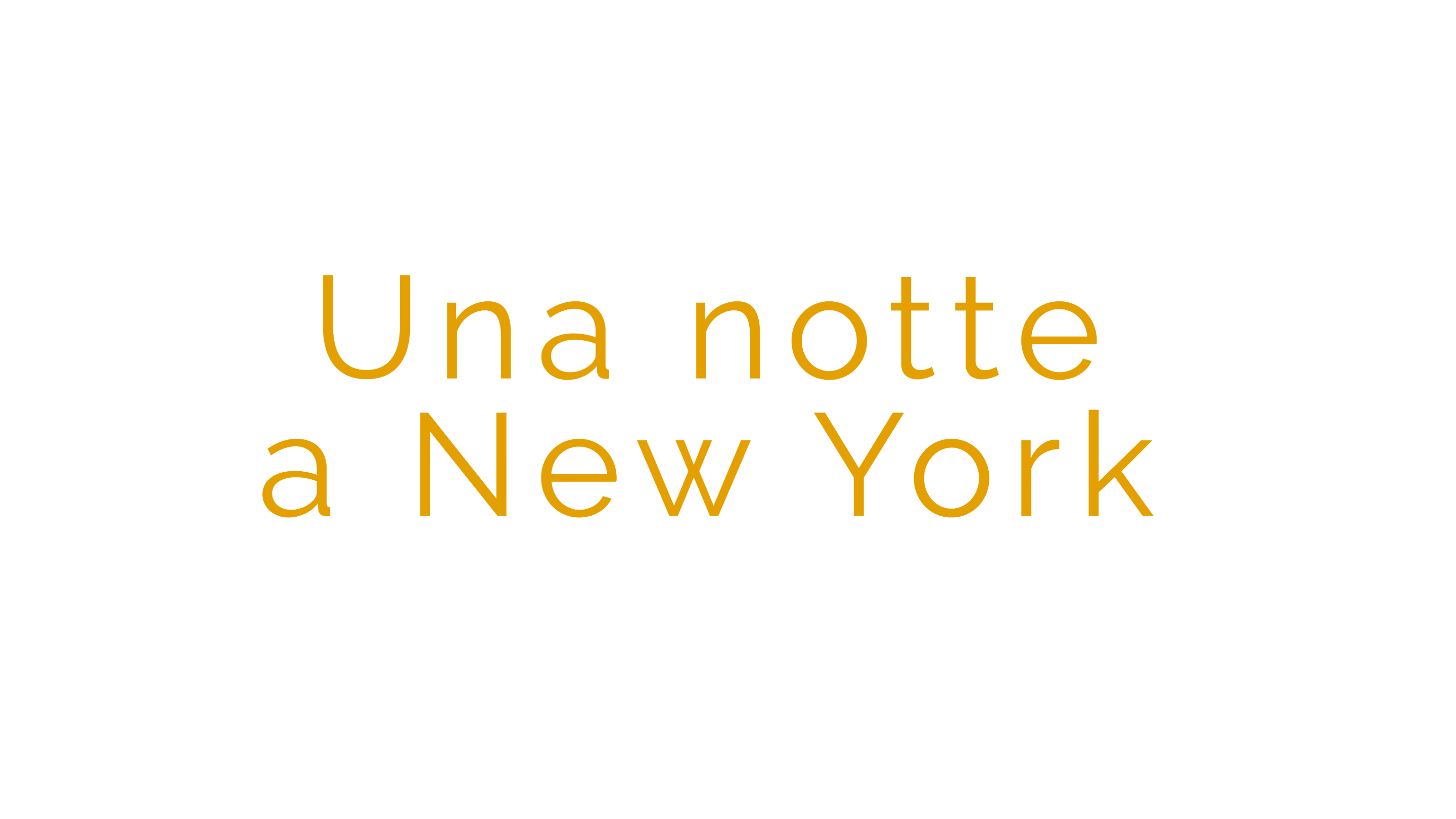 Una notte a New York