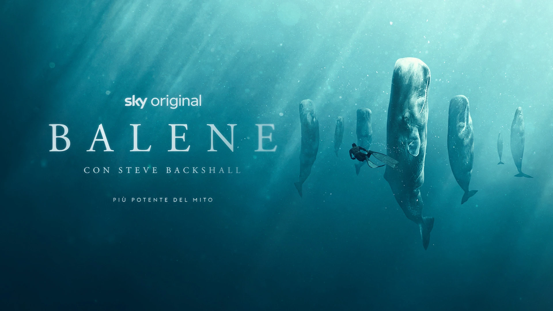 Balene con Steve Backshall stagione 1