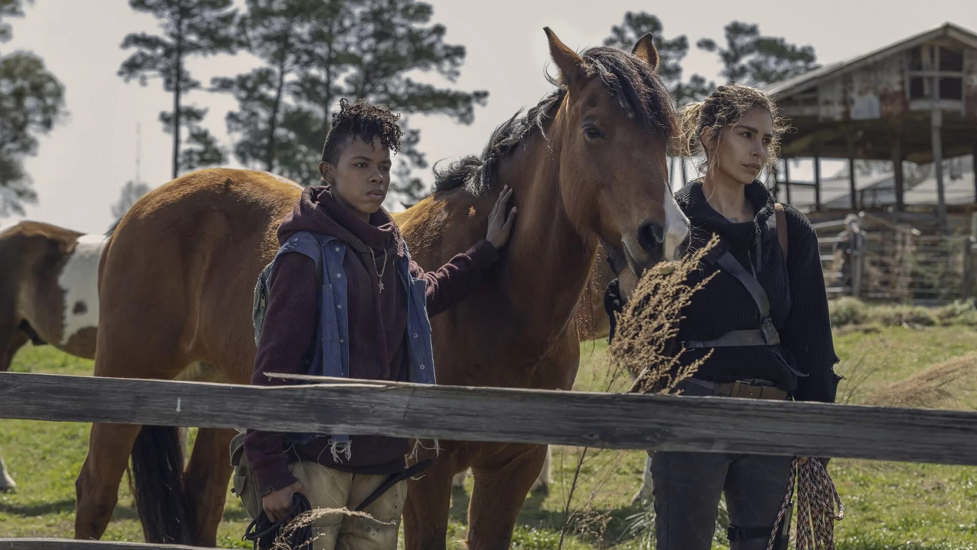 The Walking Dead stagione 11