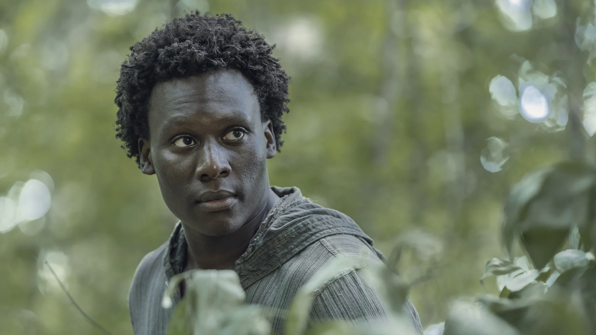 The Walking Dead stagione 11