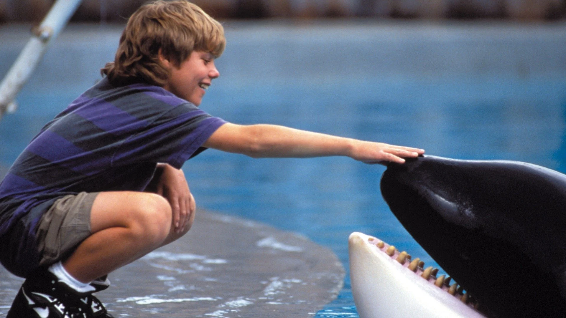 Free Willy: Un amico da salvare