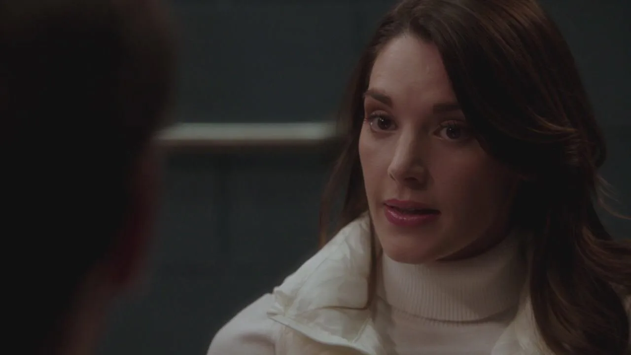 Law & Order: Special Victims Unit stagione 17