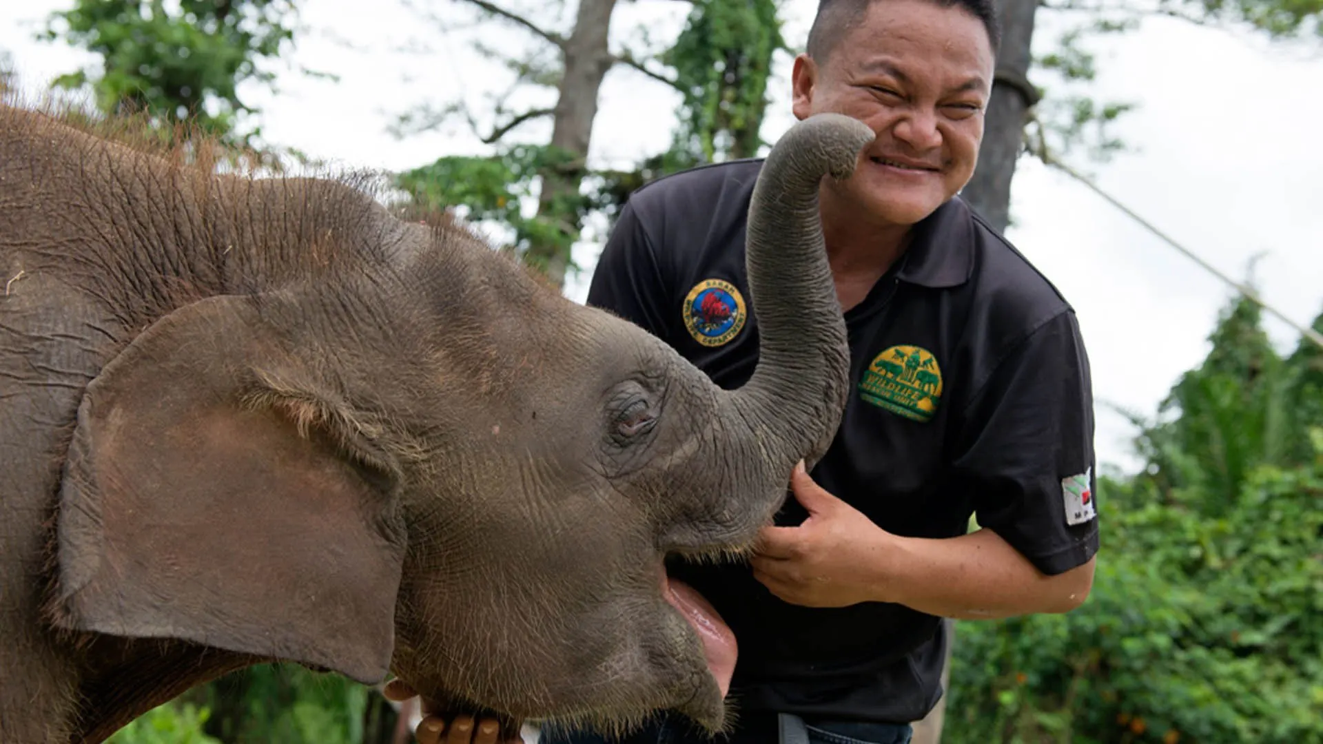 Borneo da salvare stagione 1