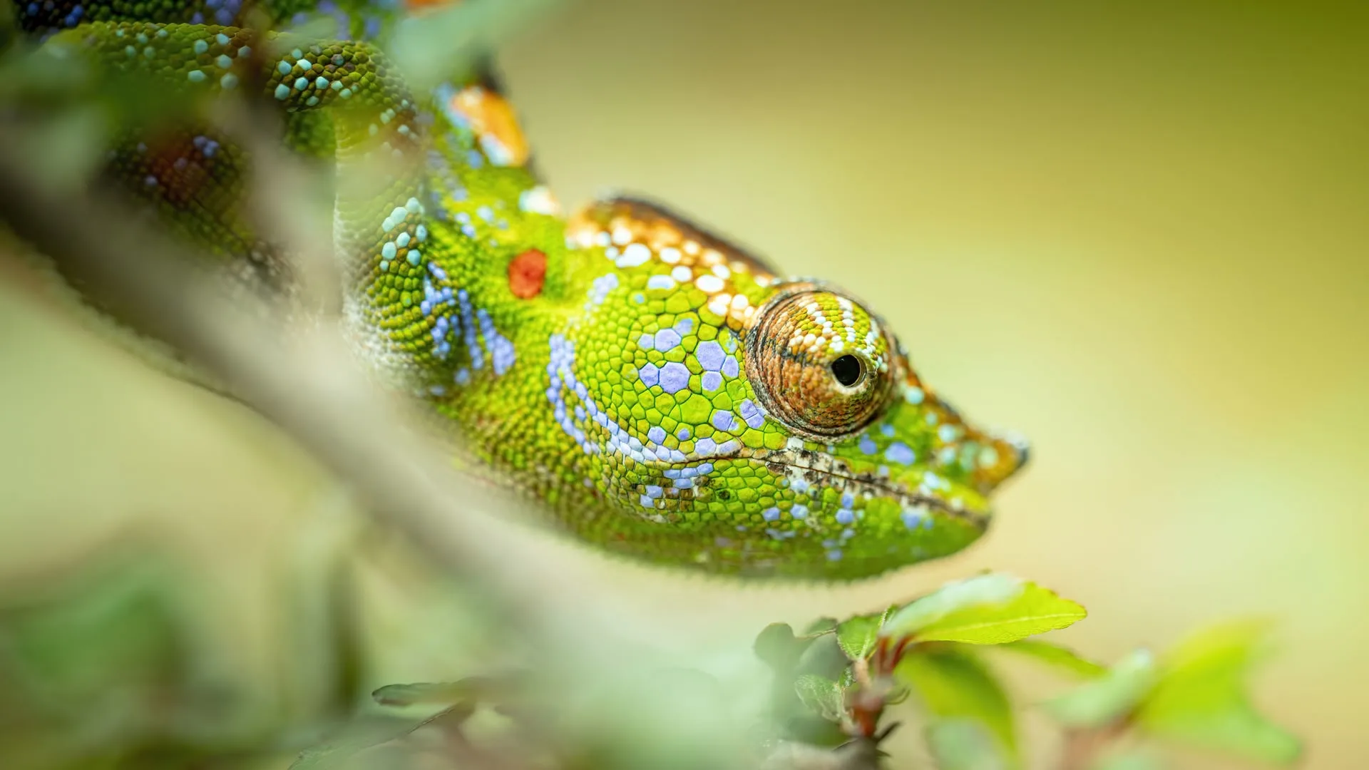 Little Heroes: Piccole grandi avventure stagione 1